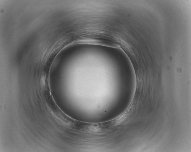 X0000073920166200608111231