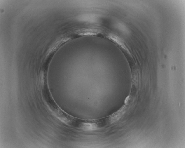 X0000073920167200608111231