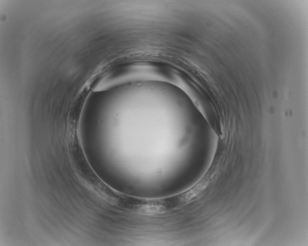 X0000073920168200608111231