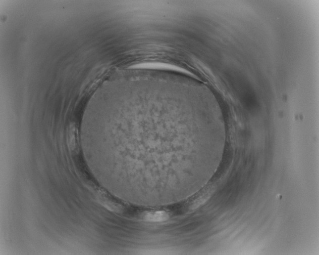 X0000073920169200608111231