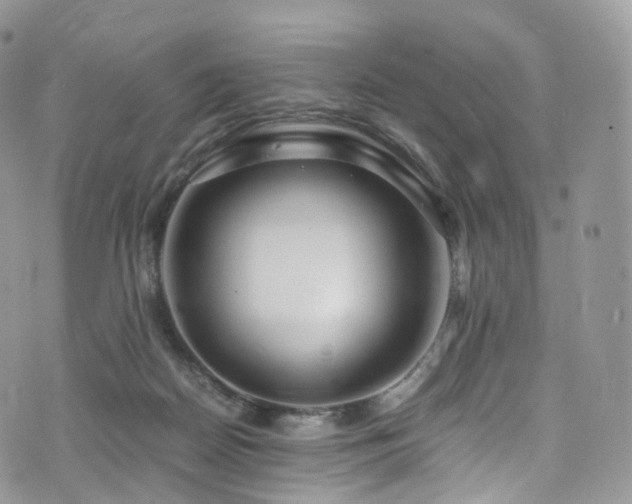 X0000073920170200608111231