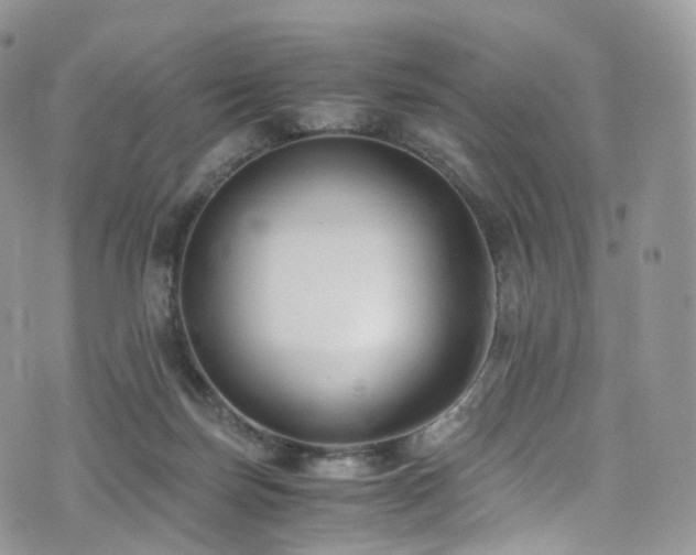 X0000073920171200608111231