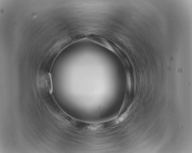 X0000073920172200608111231