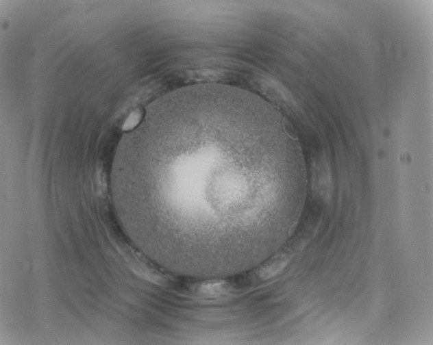 X0000073920173200608111231