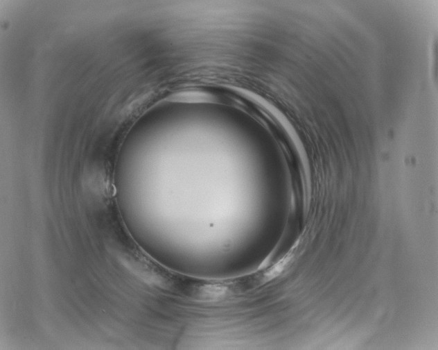 X0000073920176200608111231