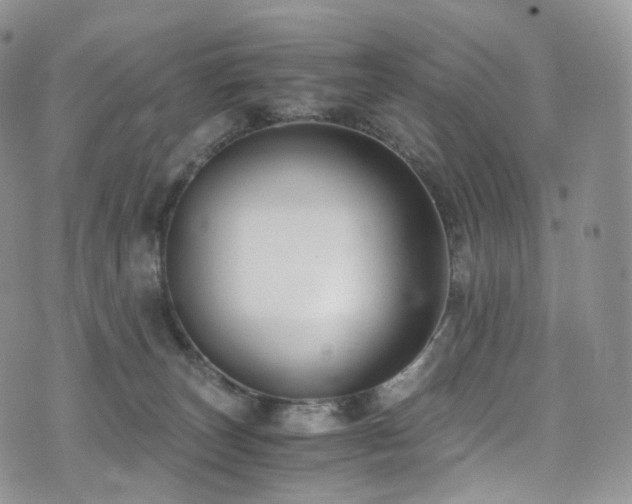 X0000073920179200608111231