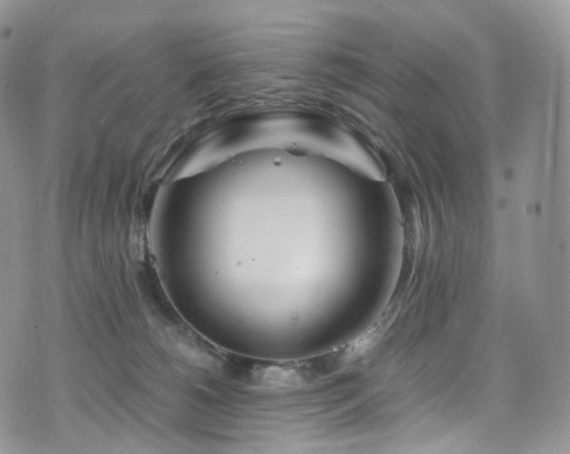 X0000073920180200608111232