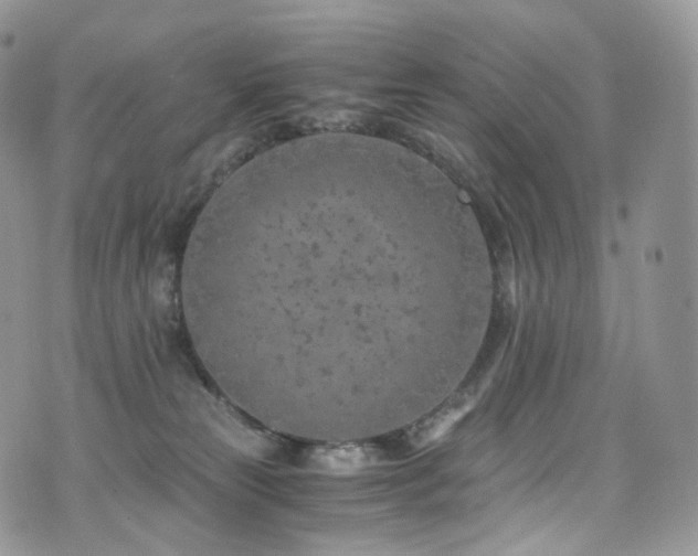 X0000073920181200608111232