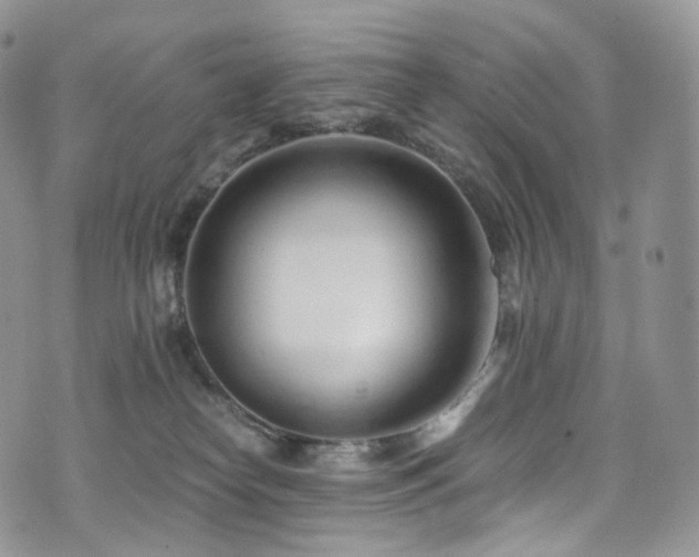 X0000073920182200608111232