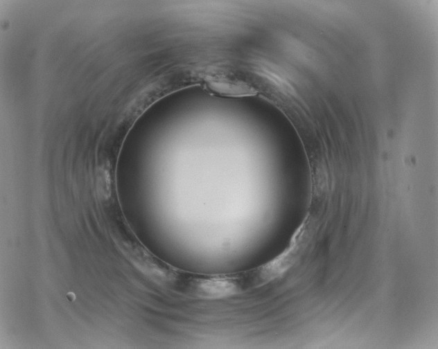 X0000073920183200608111232