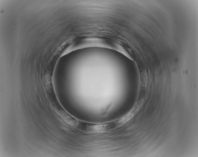 X0000073920184200608111232