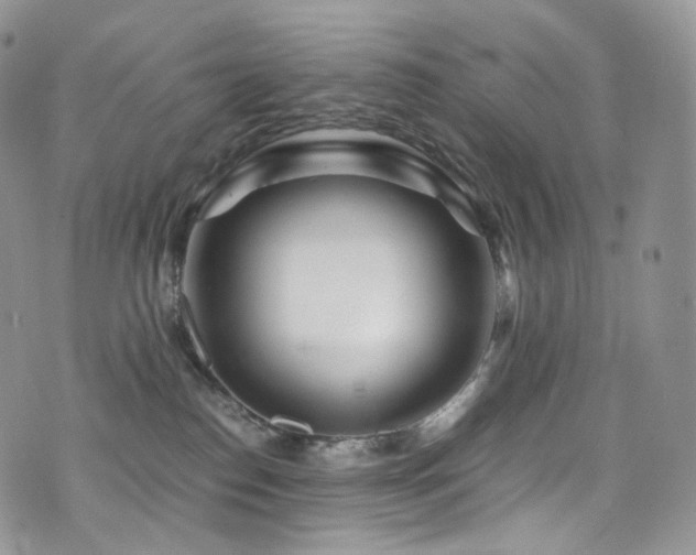 X0000073920186200608111232