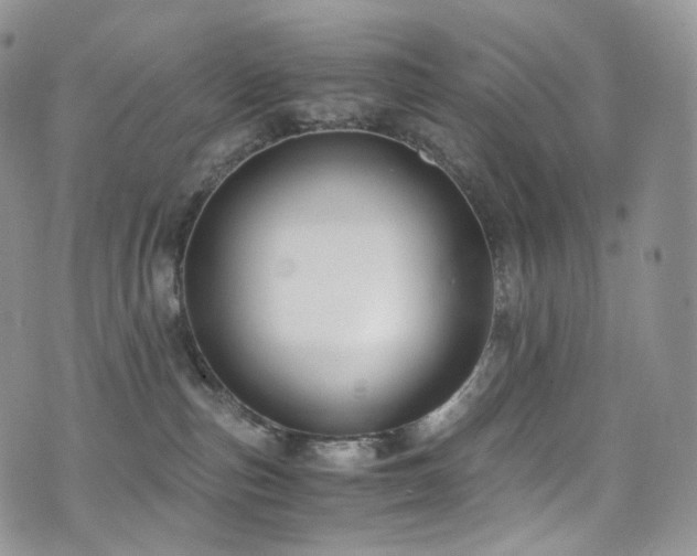 X0000073920187200608111232