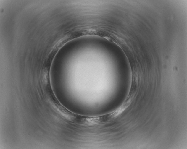 X0000073920188200608111232