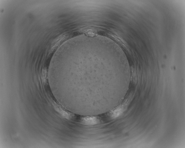 X0000073920189200608111232