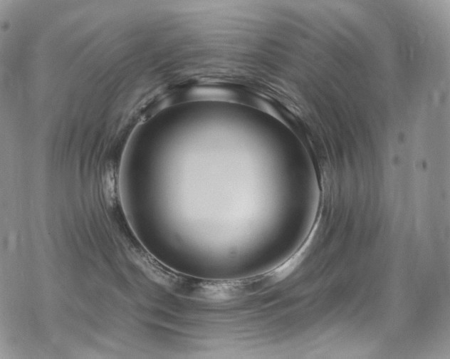 X0000073920190200608111232