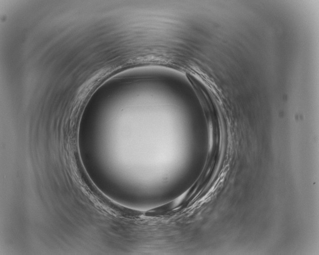 X0000073920193200608111231