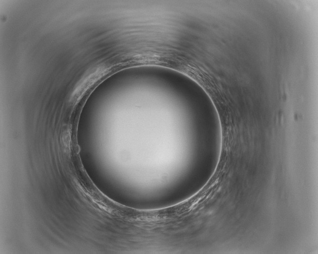 X0000073920194200608111231