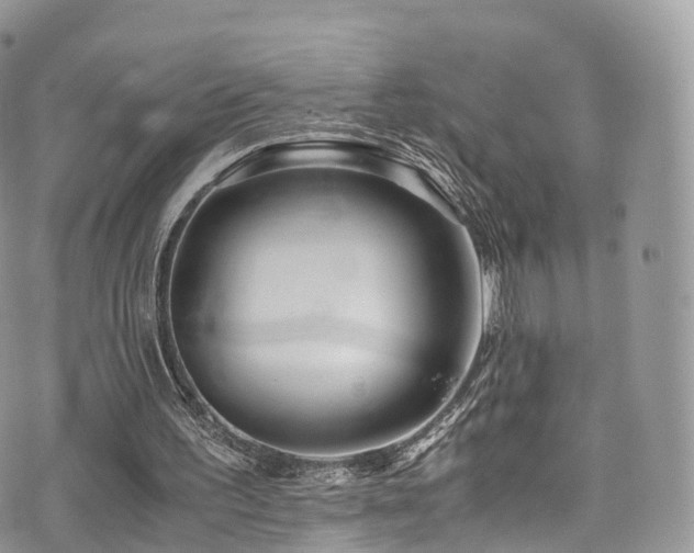 X0000073920195200608111231