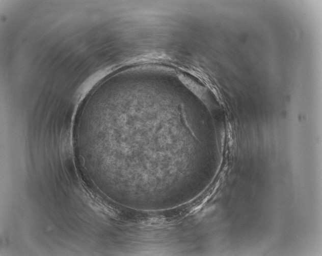 X0000073920196200608111231