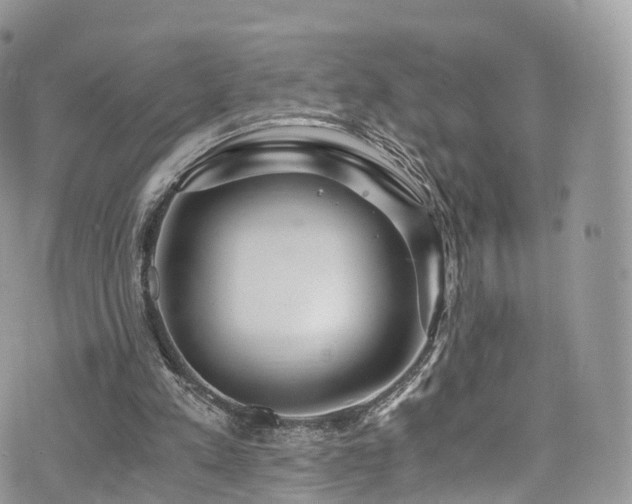 X0000073920197200608111231