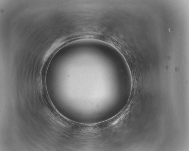 X0000073920198200608111231