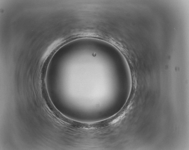 X0000073920199200608111231