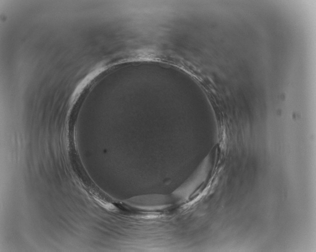 X0000073920200200608111231