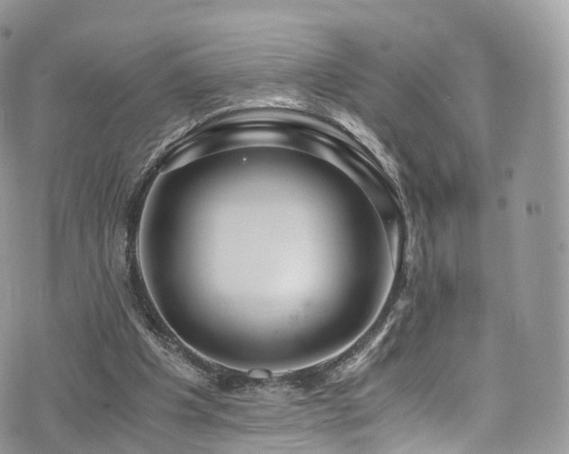 X0000073920201200608111231