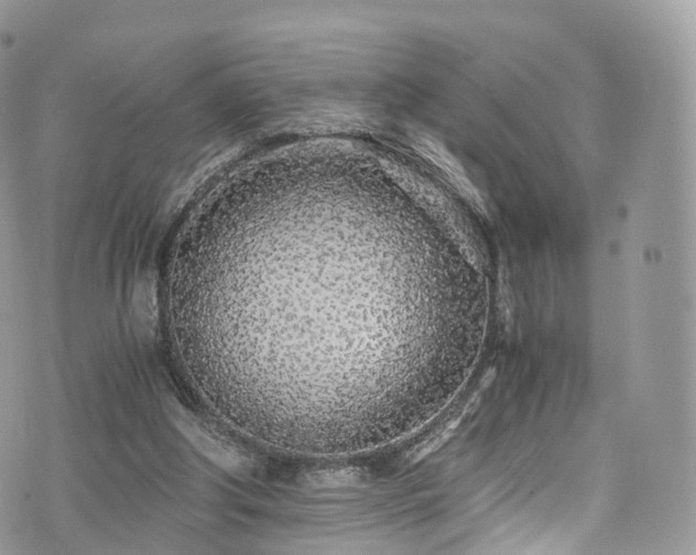 X0000073920202200608111231