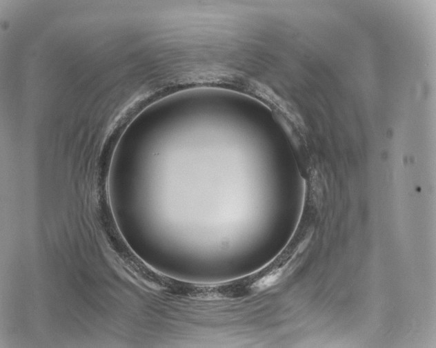 X0000073920203200608111231