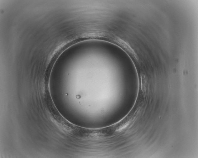 X0000073920204200608111231