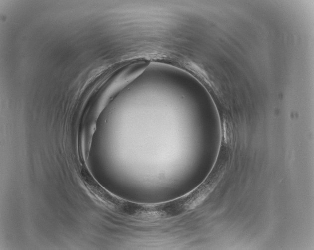 X0000073920205200608111231