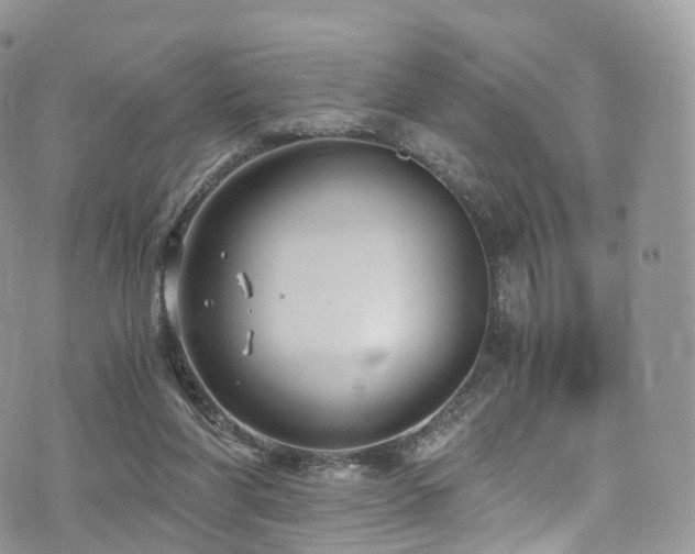 X0000073920206200608111231