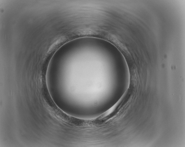 X0000073920207200608111231