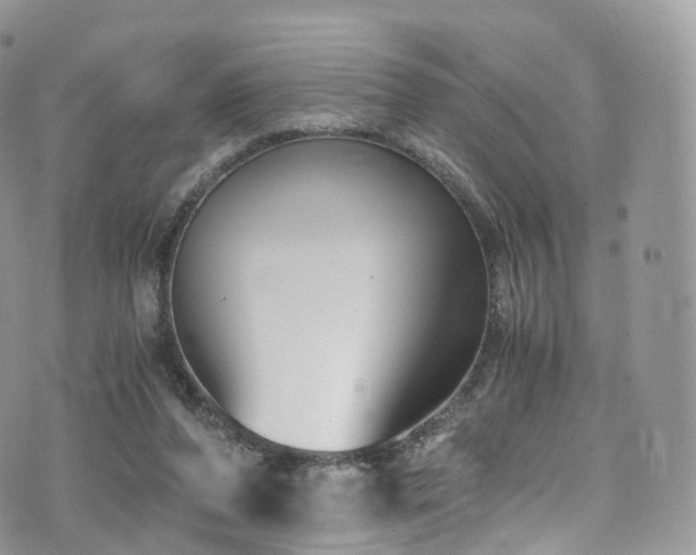 X0000073920208200608111231