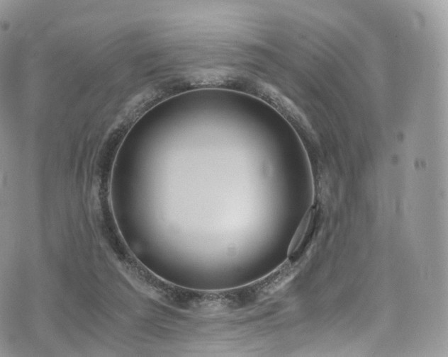 X0000073920209200608111231