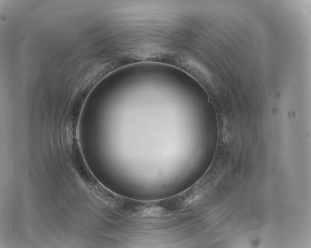 X0000073920210200608111231