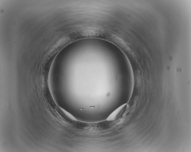 X0000073920211200608111231