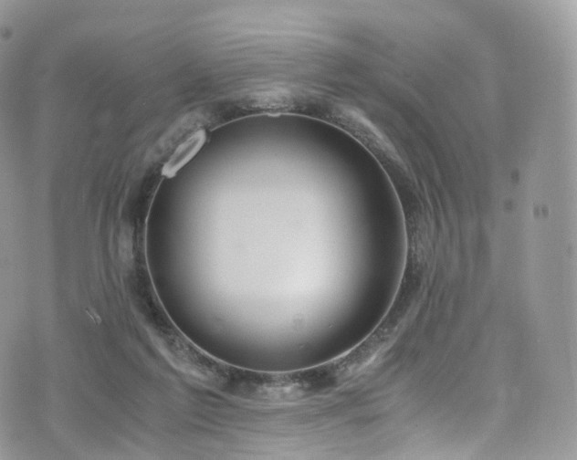 X0000073920213200608111231