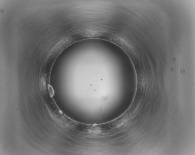 X0000073920214200608111231