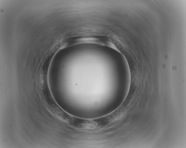 X0000073920215200608111231