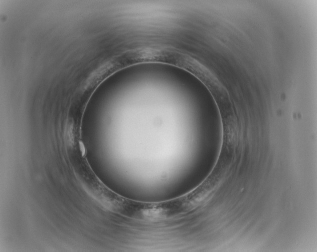 X0000073920216200608111231