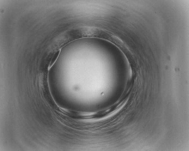 X0000073920217200608111231