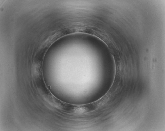 X0000073920218200608111231