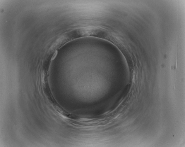 X0000073920219200608111230