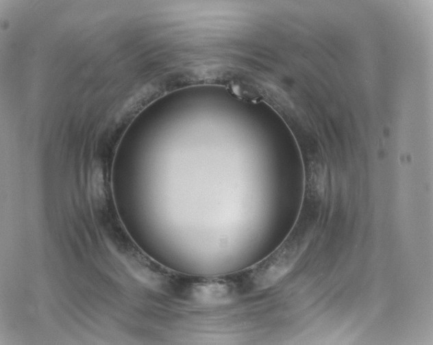 X0000073920220200608111230