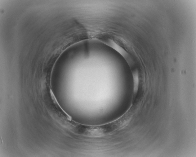 X0000073920221200608111230