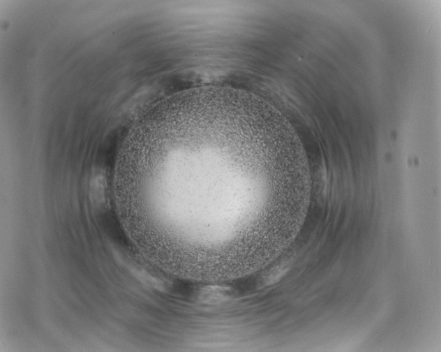 X0000073920222200608111230