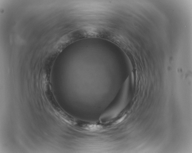 X0000073920223200608111230